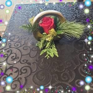 Meet your Posher, Freda